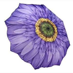 *NWT* Purple Daisy Umbrella Auto-Open/Close Compact Size Large Canopy